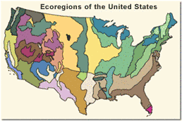 Ecoregions map of the conterminous US