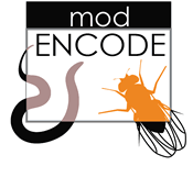 modENCODE