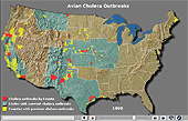 Wildlife Mortality - Avian Cholera dynamic map link