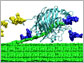 A cellulose-digesting enzyme from a fungus.