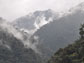Photo of fog over the cloud forest in Ecuador's Oyacachi watershed.
