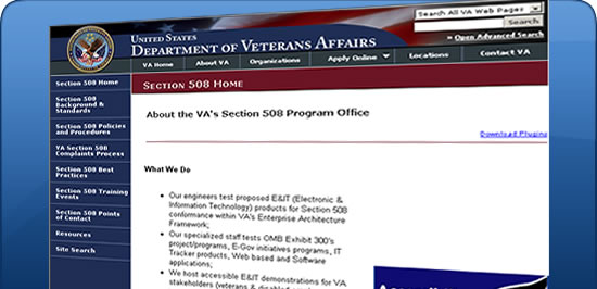 VA Website Screen Shot