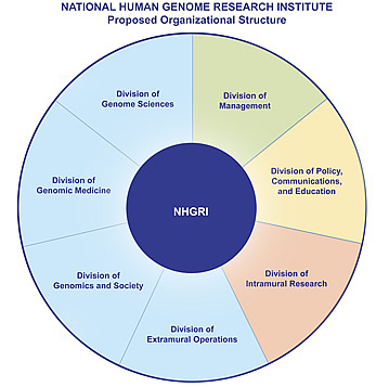 Pie chart of reorganization