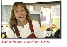 Shelley Hoogstraten-Miller, D.V.M.