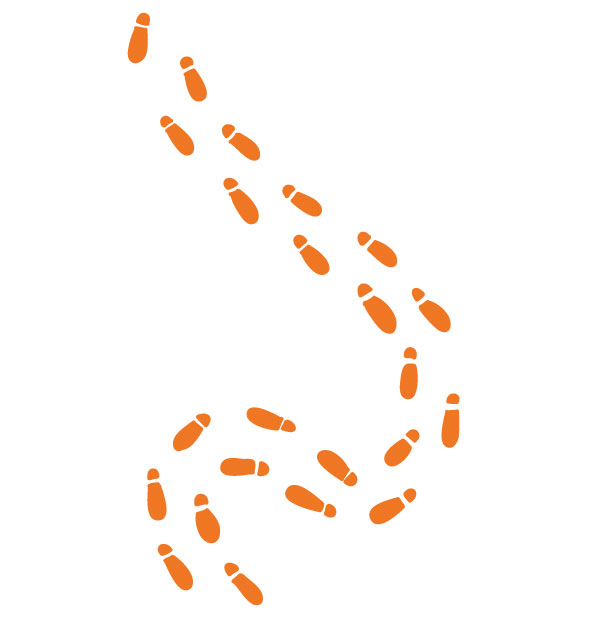 Illustration of wandering footprints.