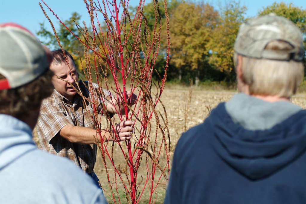 Rend Lake College President Holds a Tree