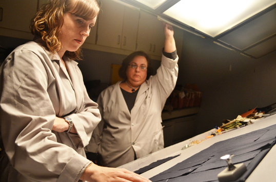 Photo: Employees comparing fabric samples