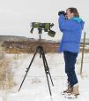 Bird Counting for Coeur d' Alene Eagle Watch Week