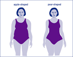 illustration of a pear- and apple-shaped woman