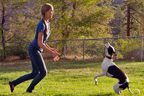 young female student playing at the dog park
