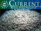 NSF Current, April 2012 Edition