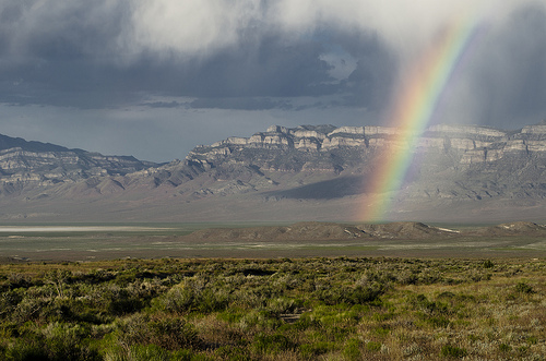 Image description: A rainbow descends into the Great Basin after a spring storm. The Great Basin is the largest terminal basin in the U.S., located in Utah, Nevada, Idaho, and Oregon.
Photo by Larry Crist, U.S. Fish and Wildlife Service Mountain-Prairie Region.