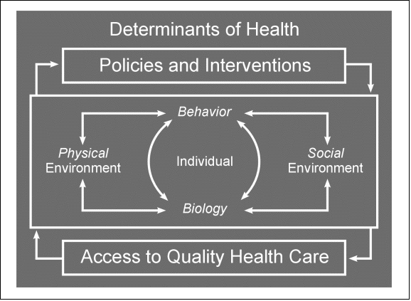 Graph: Determinants of Health