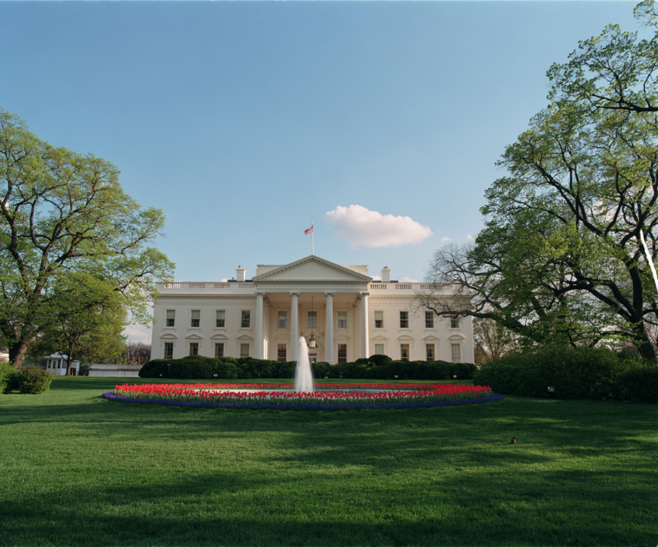 A robin sits on the North Lawn of the White House, April, 17, 2001. (F5224-2)
