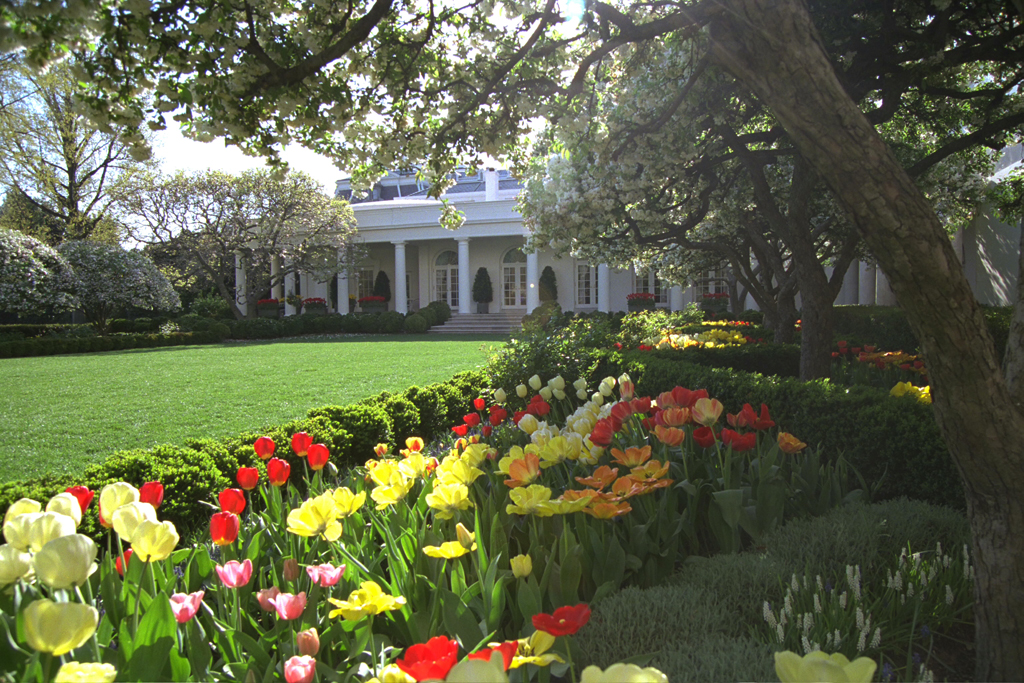 Flowers bloom, April 14, 2003, on the North Lawn of the White House. (F5839-09)