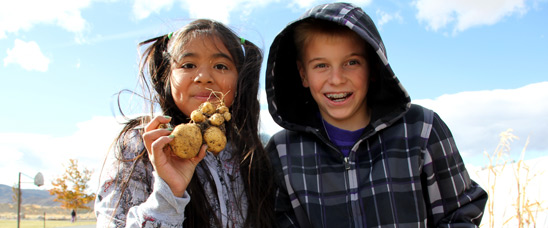Children at Dayton Elementary in Dayton, NV harvest potatoes from the Healthy Communities Garden at their school.