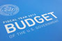 budget icon, source: GAO