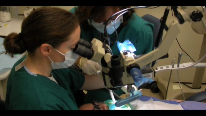 Navy Dentist - Dental Corps - Dr. Heather Gnau Video