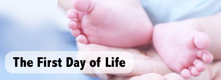 The First Day of Life