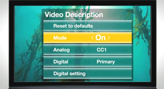 still image from the PSA showing a video description menu on the TV screen