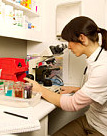 Female vet using microscope in surgery