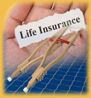 Program Perspectives on Life and Disability Insurance Benefits