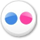 Icon: Flickr