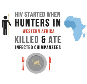 HIV started when hunters in Western Africa Killed & Ate infected Chimpanzee's
