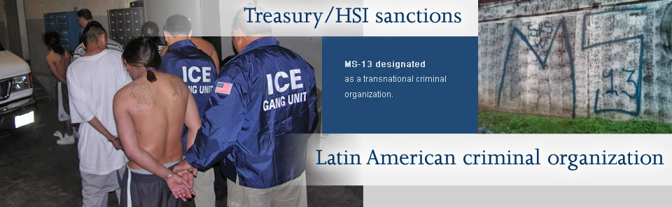 Treasury/HSI sanctions Latin American criminal organization