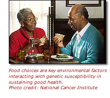 Food choices are key environmental factors interacting with genetic susceptibility in sustaining good health. Photo credit: National Cancer Institute