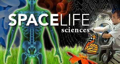 The words SPACE LIFE sciences, with colorful montage of butterfly and flower, spider’s web, man and glovebox, and other life science images