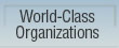 World-Class Organizations