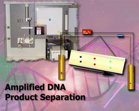 Amplified DNA Product Separation Intro Image