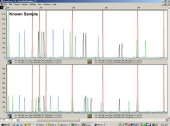 Still image linking to Animation Explaining a Non-Match Using and Electropherogram