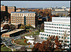 view of the NIH campus