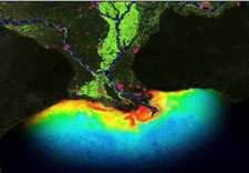 Image of mouth of Mississippi River showing nutrient run-off. Click for data visualization.