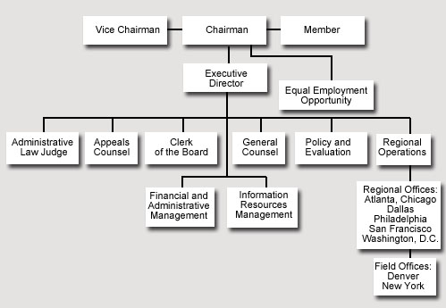 MSPB Organizational Chart