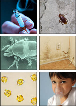 various allergens - a smoking cigarette, a roach, a dust mite, mold in the corner of a room, pollen, and a child with an oxygen mask on