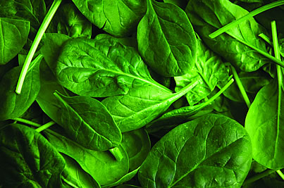 spinach leaves