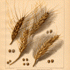 wheat