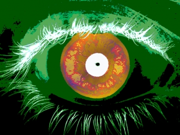 Image of human eye/iris (Photo: Talbott/NIST)