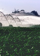 Picture of Irrigation