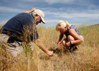 Thomas Mace, senior scientific adviser to NASA, helps Cal State Bakersfield microbiologist Antje Lauer collect soil samples in Central California. They plan to test the soil for the fungus that causes valley fever.    Credit: Shelby Mack/The Bakersfield Californian 