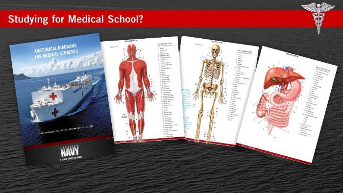 Download free Study Tools from America's Navy