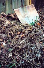 Image of shovel in compost