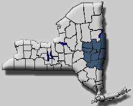 capital region of NY