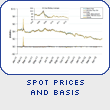 Spot Prices and Basis