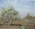 image of Orchard in Bloom, Louveciennes