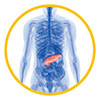 Pancreas In Situ Xray Image