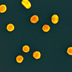 microscopic image of gold colored nanoparticles